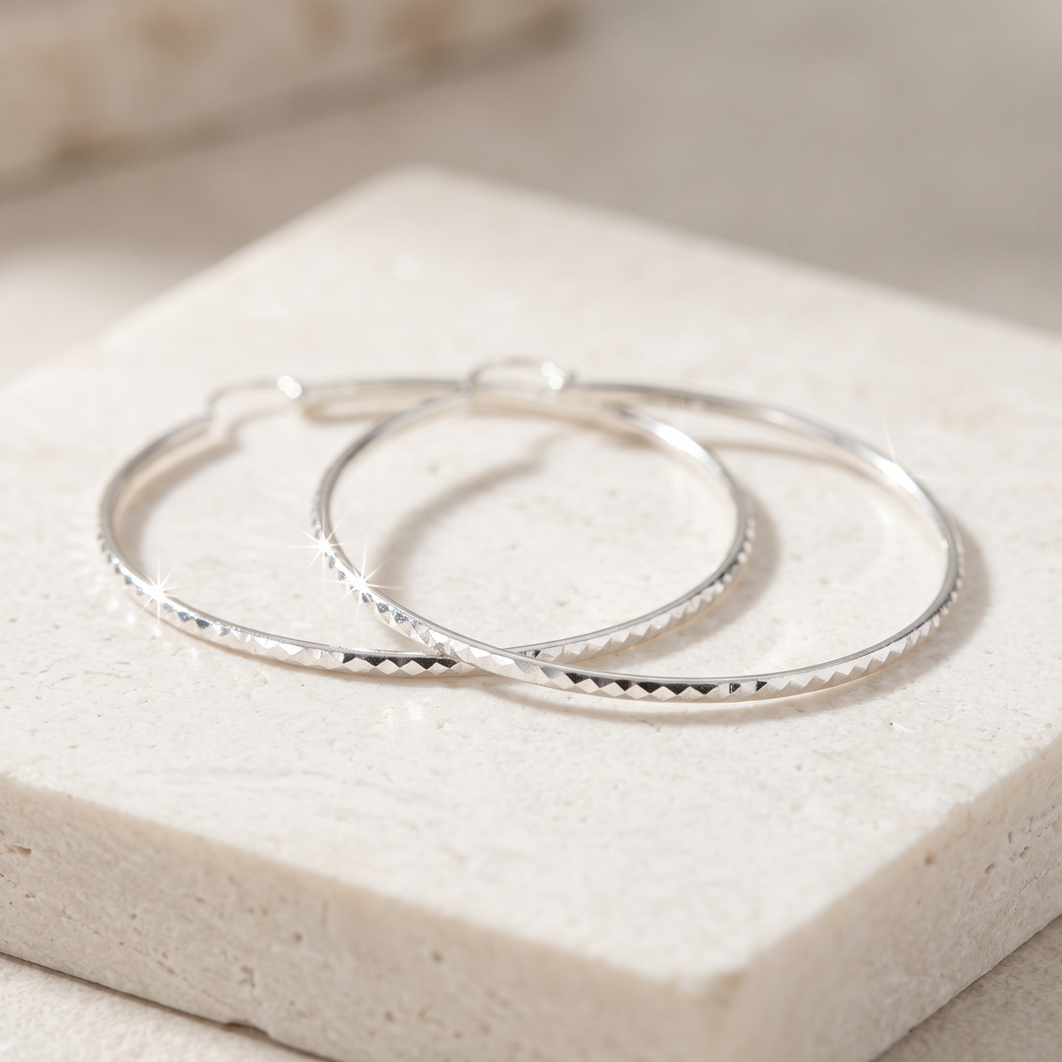 Arracada de Plata .925 con Forma Circular y Cara Externa Diamantada mod. 3310