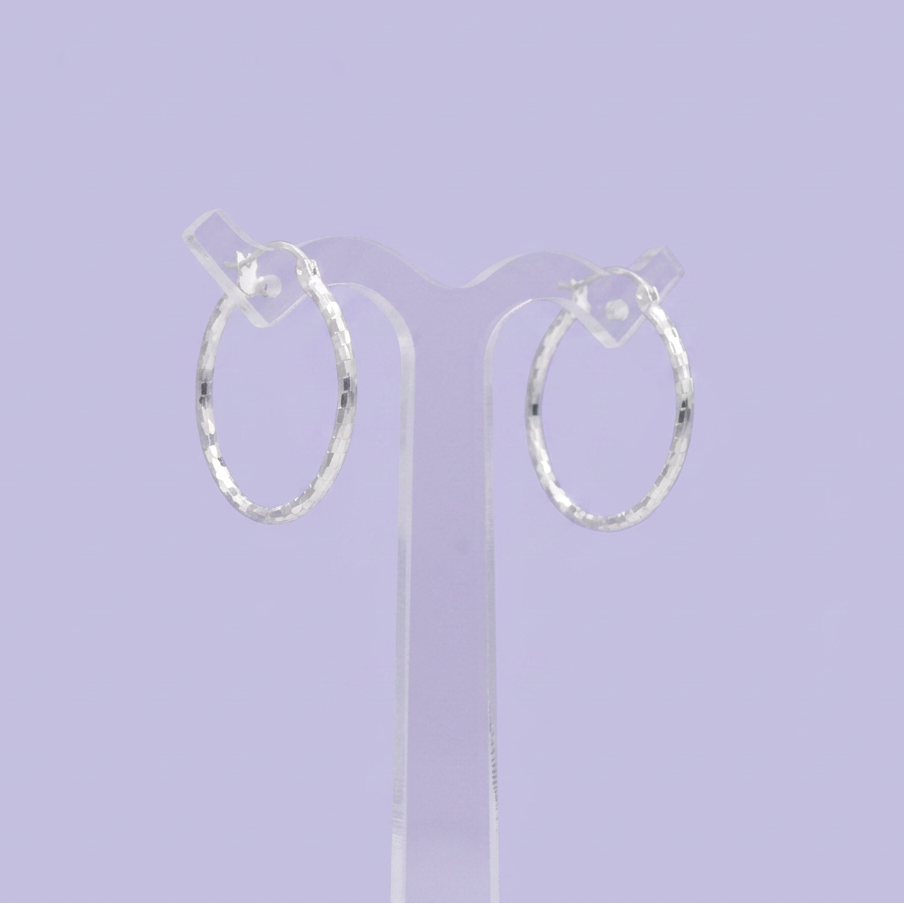 Arracada de Plata .925 Diseño con Diamantado Disco Mediano Estilo Hueco mod. 2939
