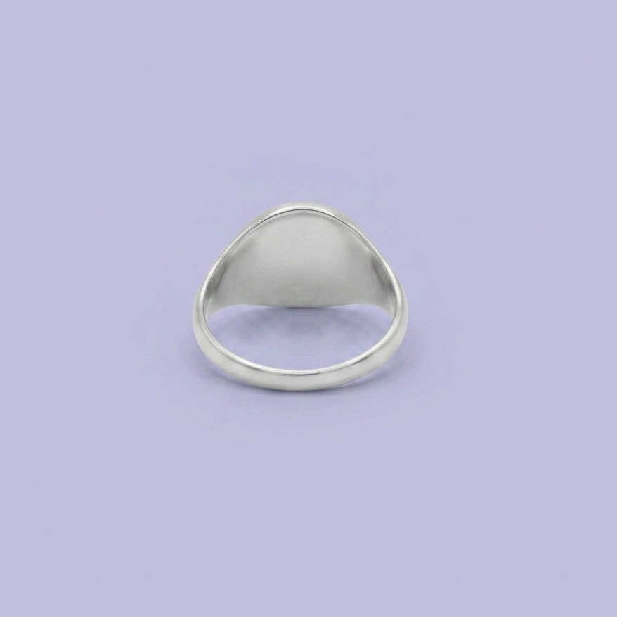 Anillo de Plata .925 Diseño Doble Circulo negro mod. 2667
