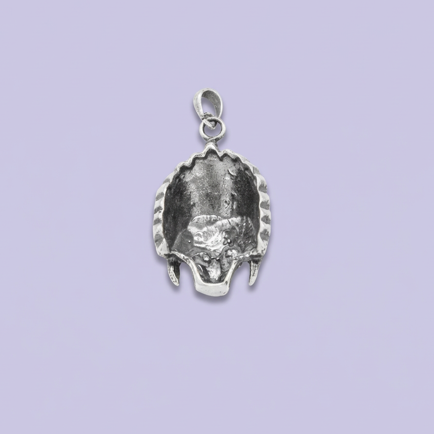 Dije de Caballero Plata .925 Calavera con Penacho mod. 2067