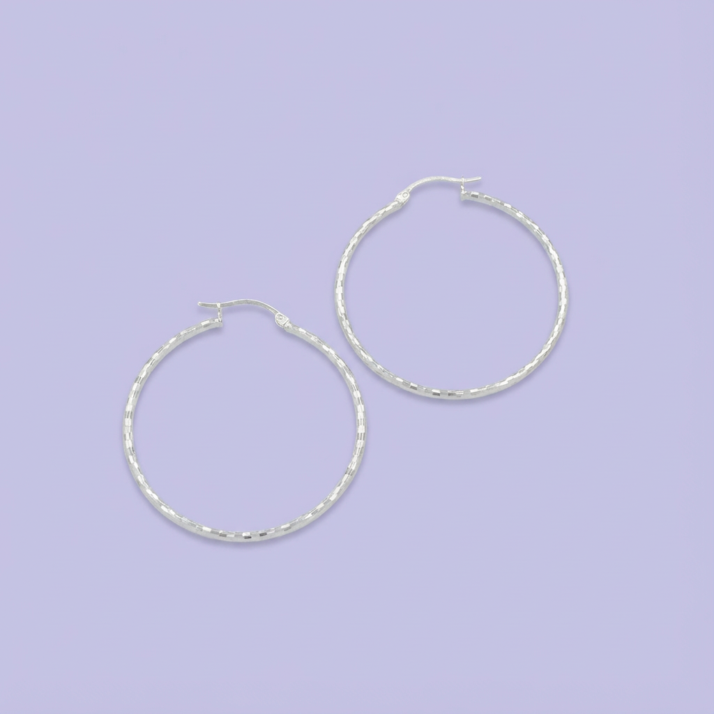 Arracada de Plata .925 Diamantado de Disco mod. 1619