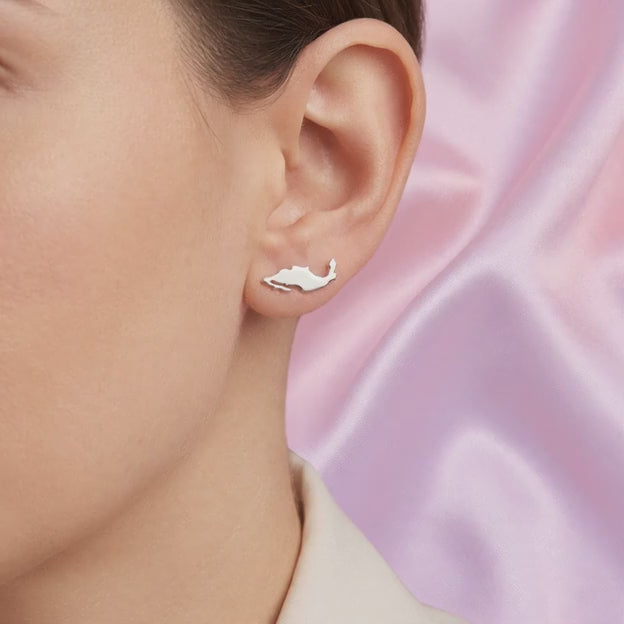 Arete de Plata .925 con Diseño de la República Mexicana mod. 2970